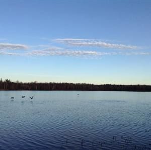 Meet your Posher, Iman